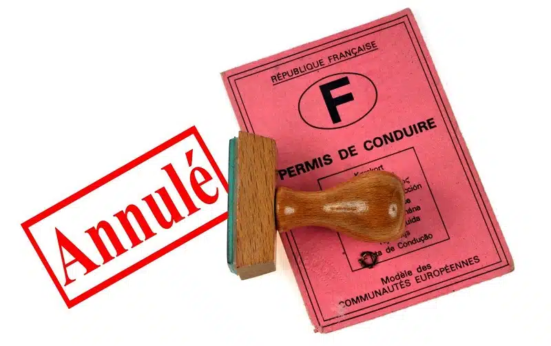 Absence de notification de suspension de permis : quelles démarches ?