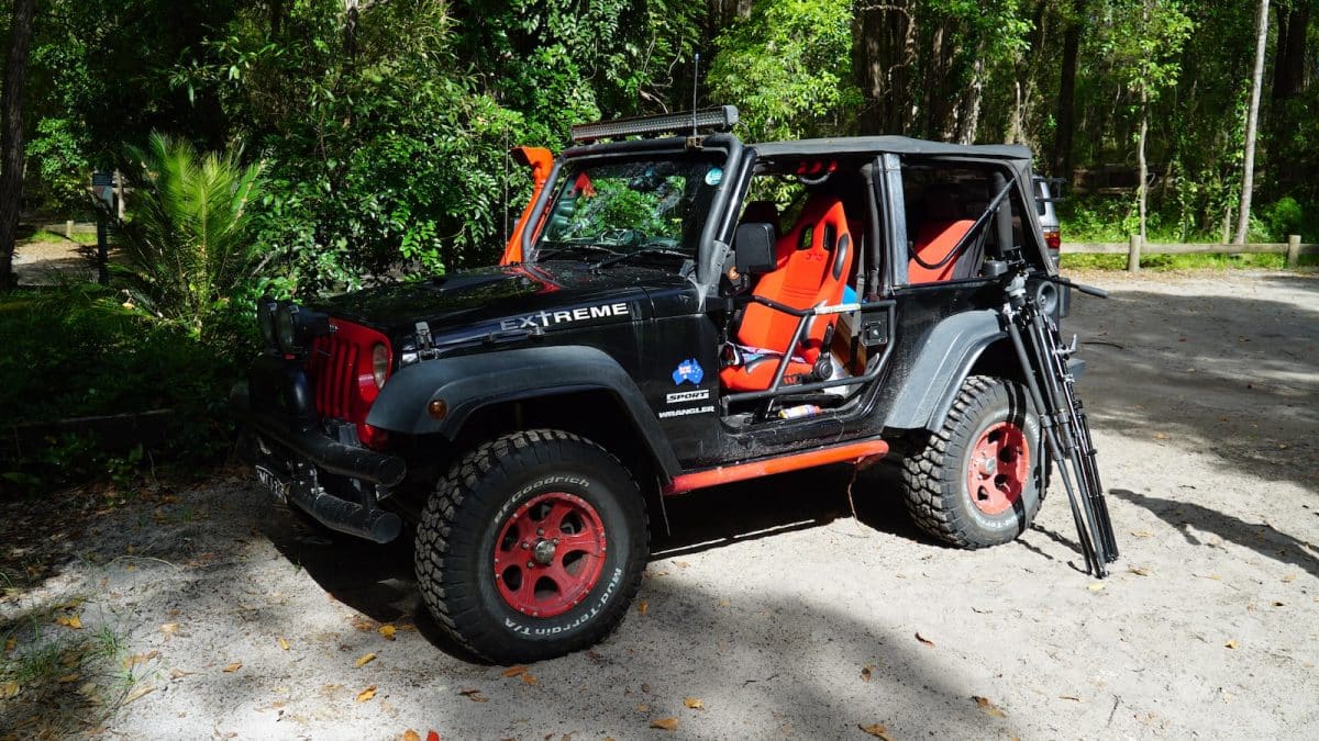 black Jeep Wrangler SUV in forest